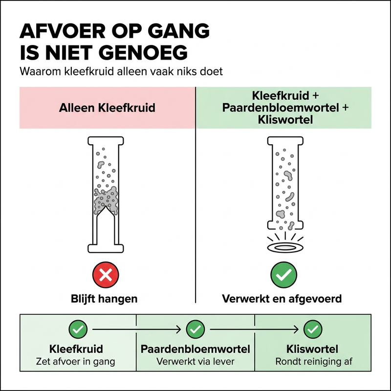 #2. Paardenbloemwortel en kliswortel neutraliseren wat kleefkruid alleen niet oplost