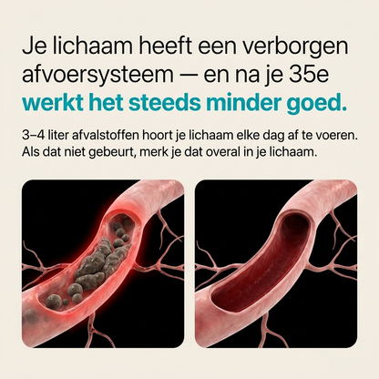 Nieuwe Maximaal Geconcentreerde Formule – Lymfe-afvoer Capsules van Lymvora™